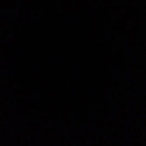 Meet your Posher, Jaden